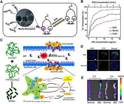 Inorganic Nanozymes: Prospects for Disease Treatments and Detection Applications